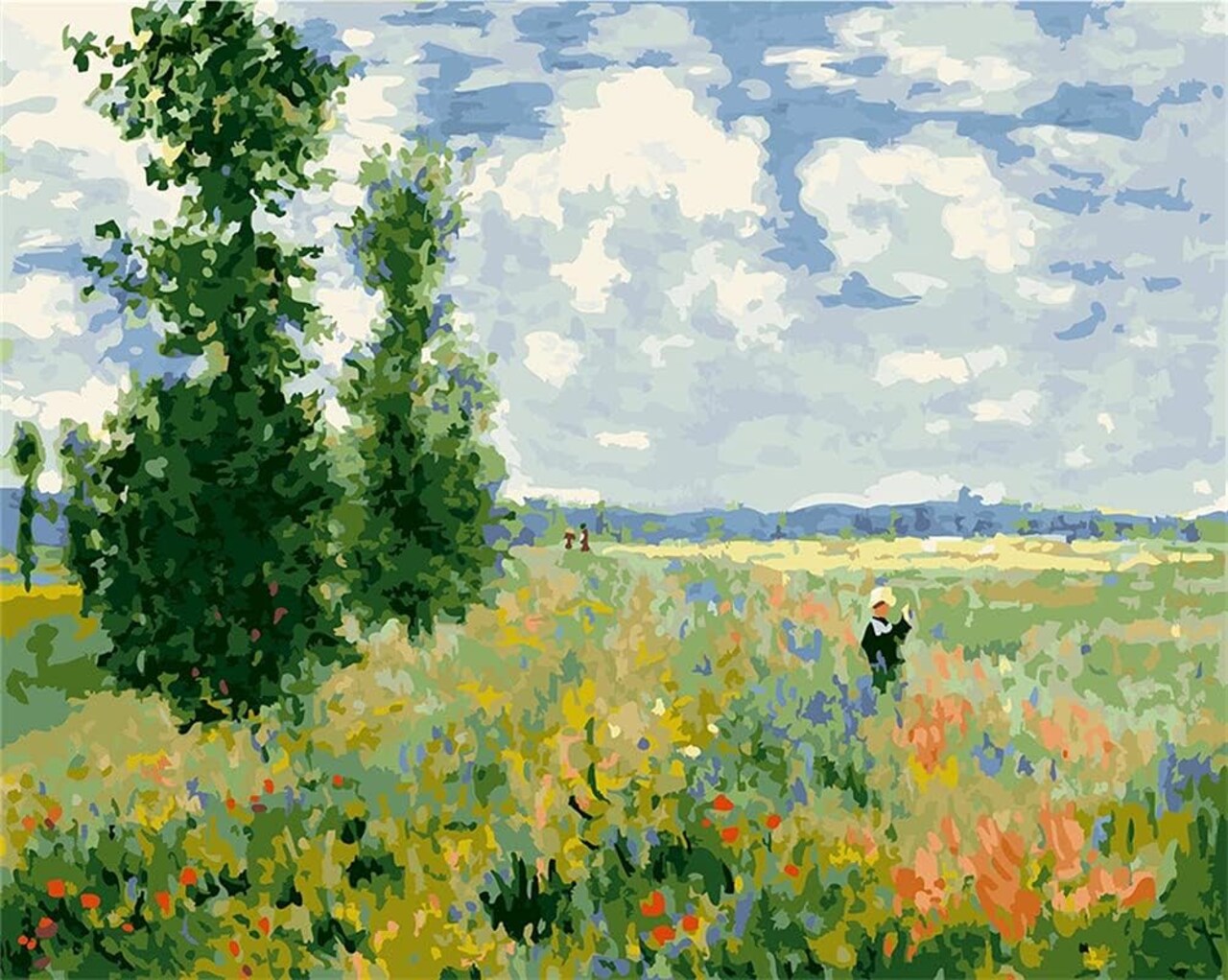 Paint by Numbers Landscape Kit for Adults – 16x20 inch DIY Oil Painting, Beginner Friendly, Poppy Field (No Frame)